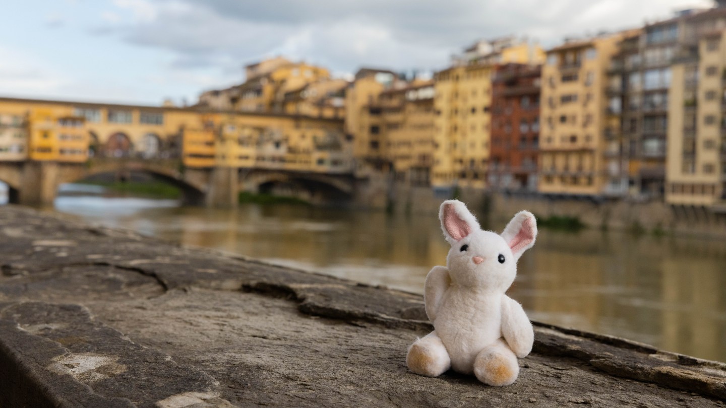 Postcard From Florence
