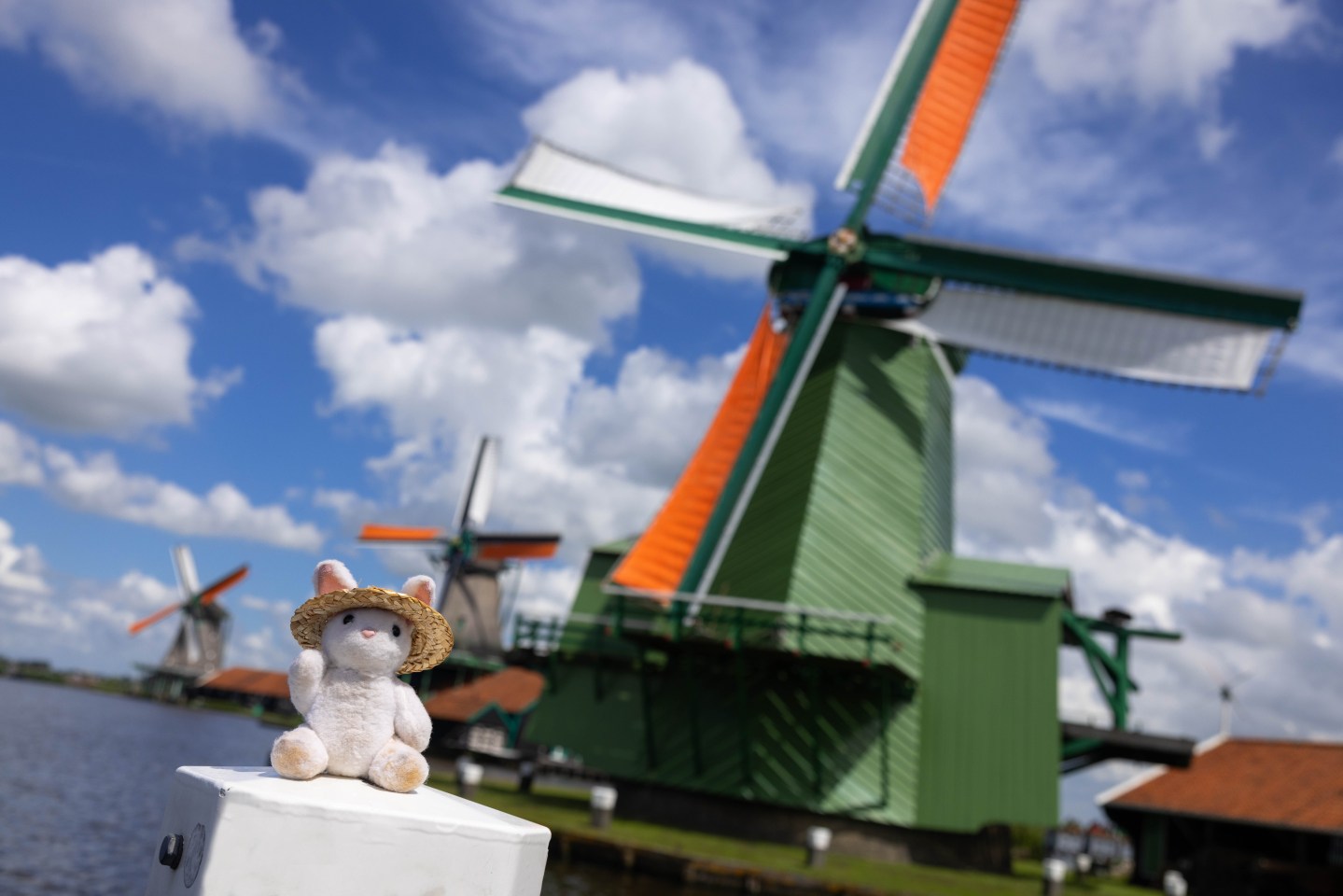 A Sight of the Windmills