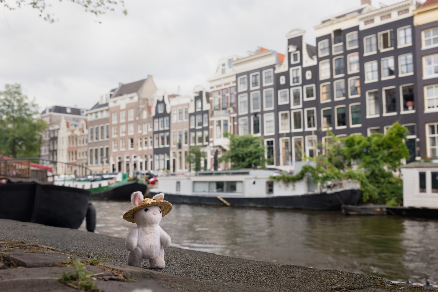 Down the Canals of Amsterdam